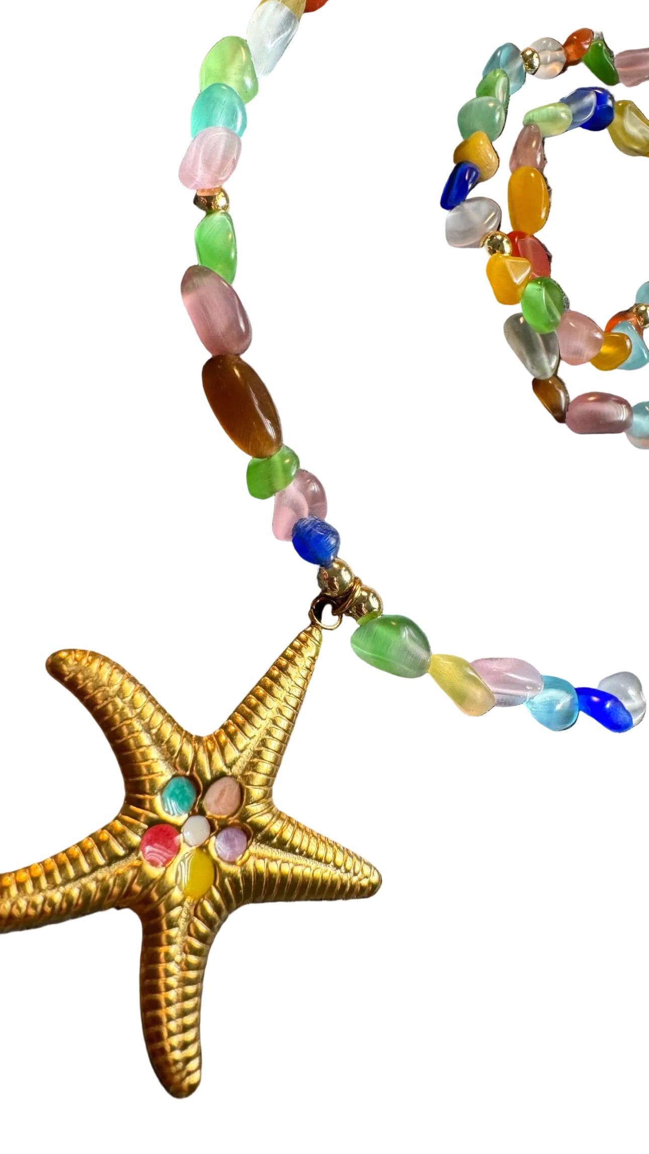 Estrella de mar ojo de gato